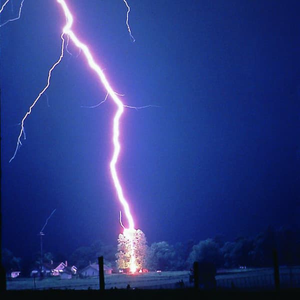 Lightning hits tree (Noaa)